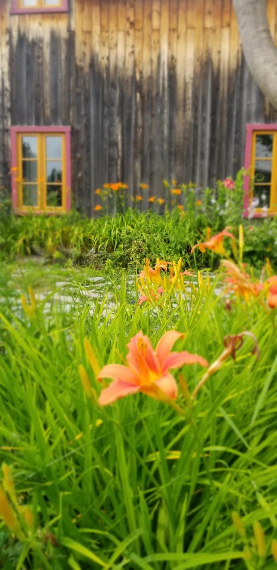 Auberge Le P'Tit Bonheur Saint-Laurent-de-l'ile d'Orleans Екстериор снимка